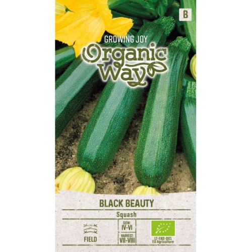 Органик семена Тиквичка Блек Бюти / Black Beauty