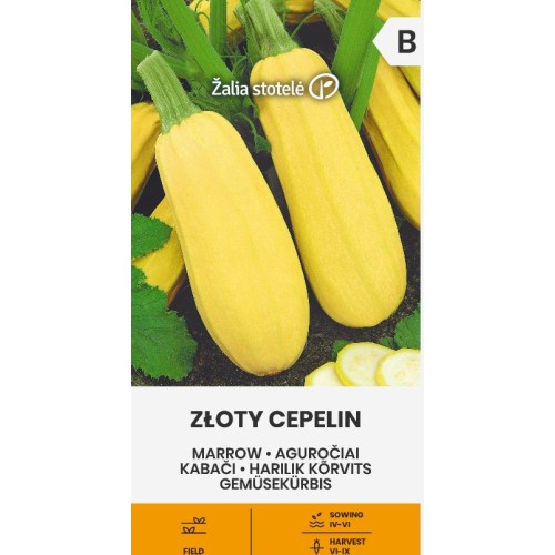 Тиквичка жълта / Zloty Cepelin