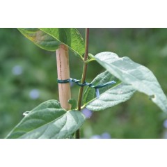 Градинска тел за привързване - 30м.