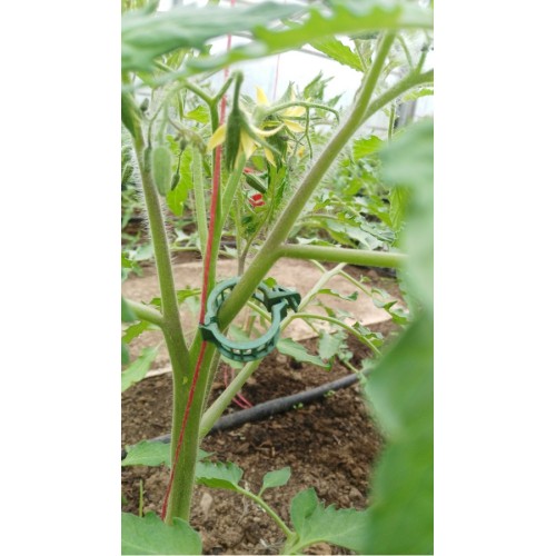 Щипки за домати, грозде и други растения ф23