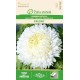 Астри Паеони Бели / Paeony white