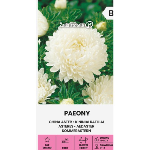 Астри Паеони Бели / Paeony white