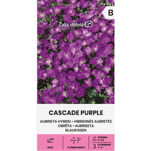 Аубриета каскадна лилава / Cascade purple