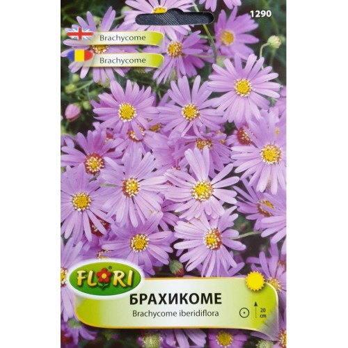 Брахикоме / Brachycome iberidiflora