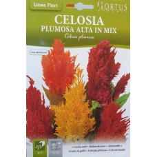 Целозия Висока Микс / Celosia plumosa