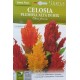 Целозия Висока Микс / Celosia plumosa