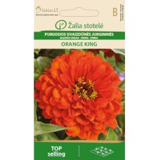 Циния кичеста оранжева / Zinnia elegans dahlienflora