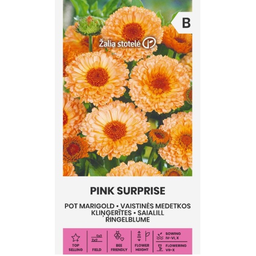 Цветя невен пинк сърпрайс / Calendula officinalis L. PINK SURPRISE 