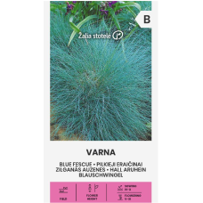 Декоративна трева синя  / Festuca ovina Glauca Varna