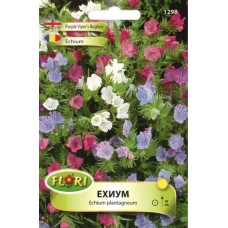 Ехиум (Усойниче) / Echium plantagineum