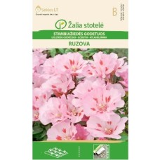 Годеция розова / Godetia grandiflora