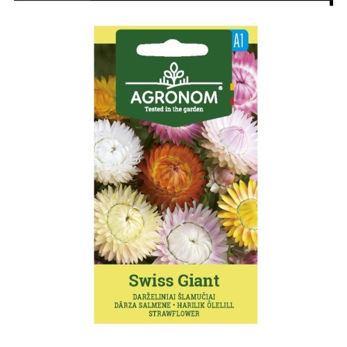 Хелихризум / Helichrysum Swiss Giant