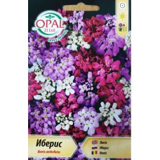 Иберис микс 
