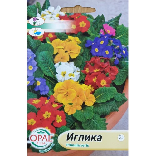 Иглика (Примула)