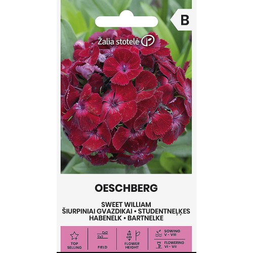 Карамфил кичест червен многогодишен Oeschberg / Dianthus barbatus