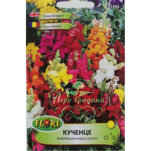 Кученце / Antirrhinum majus nanum 