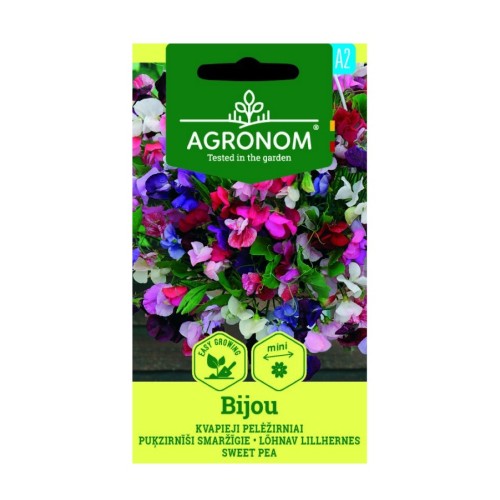 Латирус / Lathyrus Bijou