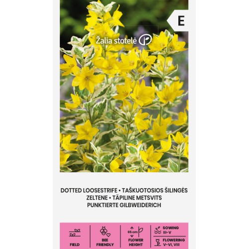 Лизимахия пъстролистна "жълто огънче" / Dotted loosestrife