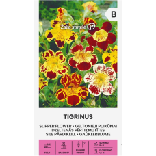 Мимулус  микс / Slipper flowers (Tigrinus)