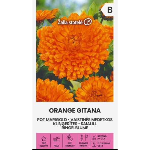 Невен Портокалов Гитана / Orange Gitana