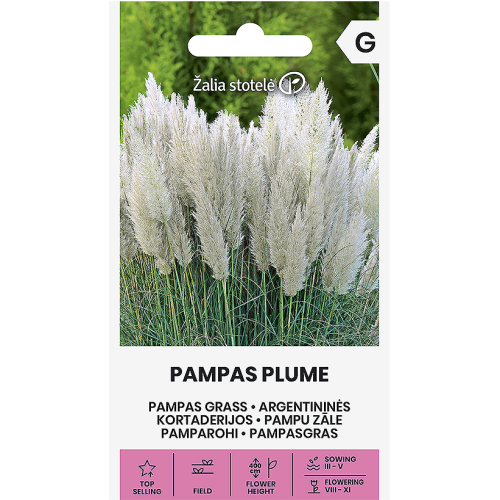 Пампаска трева (бяла) / Cortaderia selloana PAMPAS PLUME 