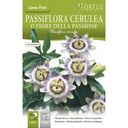 Пасифлора / Passiflora Cerulea