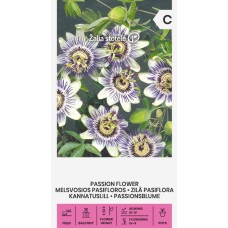 Пасифлора / Passiflora caerulea