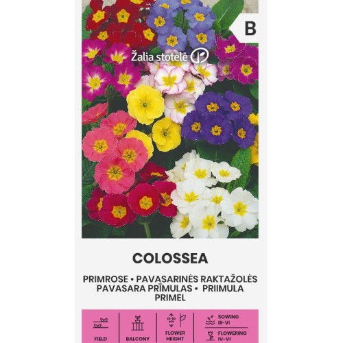 Примула (иглика) микс / Cowslip colossea