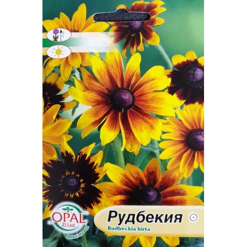 Рудбекия / Rudbeckia hirta