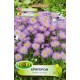 Семена от Еригерон / Erigeron speciosus