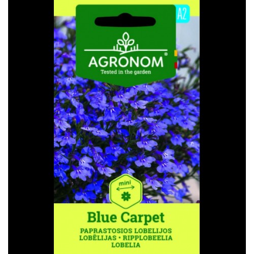 Семена от Лобелия /  Lobelia Blue carpet