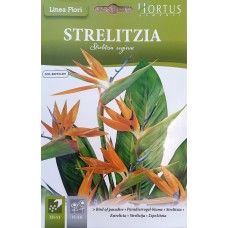 Семена от Стрелиция / Strelitzia