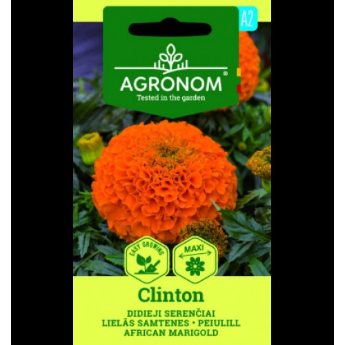 Семена от Тагетес Клинтон / Tagetes Erecta Clinton