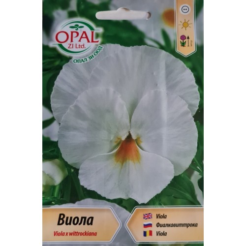 Семена за Виола (Теменужка) - Бяла / Viola x wittrockiana
