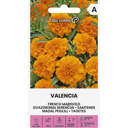 Тагетес Френски оранжев Валенсия / French Valencia