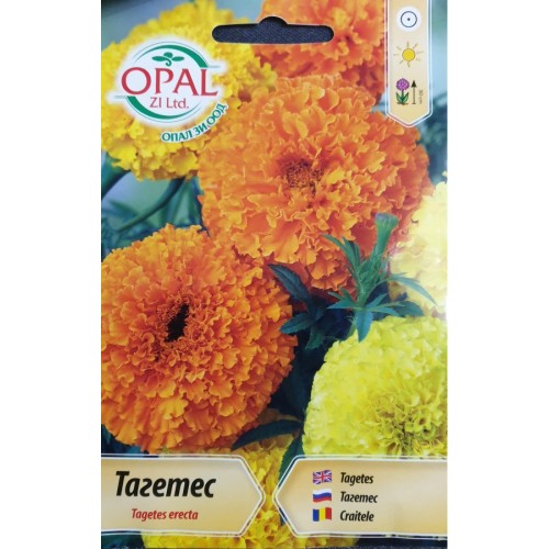 Тагетес едроцветен микс / Tagetes erecta