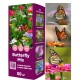 Цветна поляна за Пеперуди (29 вида цветя) / Butterfly mix