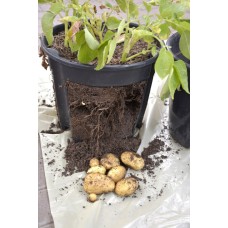 Контейнер за отглеждане на картофи GrowInPot