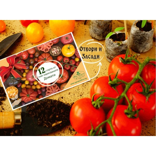 Колекция с 12 сорта семена за най-популярните Български домати