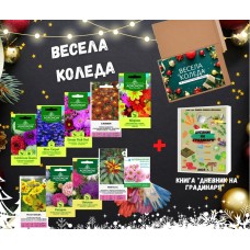 Подаръчен пакет за Коледа (Цветя) 