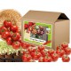 Стартов пакет за всеки ценител на вкусните домати