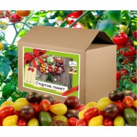 Стартов пакет за всеки любител на чери доматите