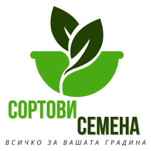 Кокиче / Galanthus nivalis - 10 бр луковици