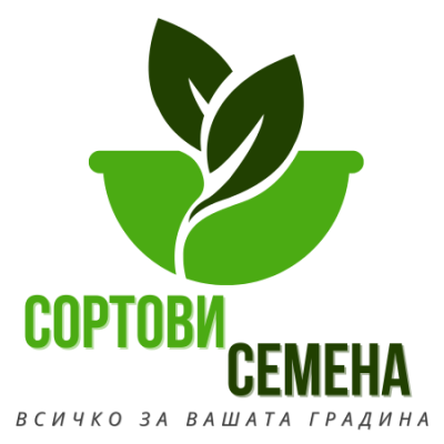 STIHL Горска брадва AX 10 (00008811971)