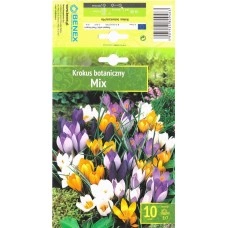 Минзухар Ботанически Микс Botanical Mix - 10 бр луковици