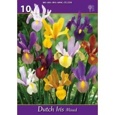 Ирис Холандски Микс Dutch Iris Mixed - 10 бр луковици