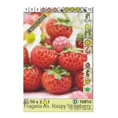 Ягоди Распи Fragaria × ananassa Raspy Strawberry - 2 бр корени