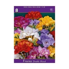 Фрезия Двойна Микс Freesia Double Mixed - 8 бр луковици