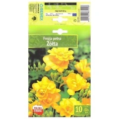 Фрезия Жълта Freesia Zolta- 10 бр луковици