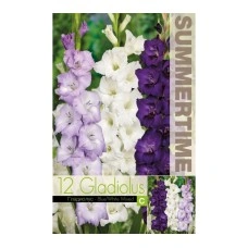 Гладиоли Синьо-Бял Микс Gladiolus L - 12 бр луковици